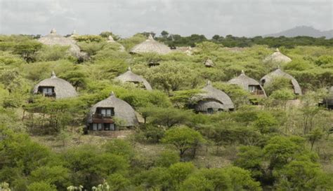 Serengeti Serena: Safari Lodge | Serengeti | Extraordinary Journeys