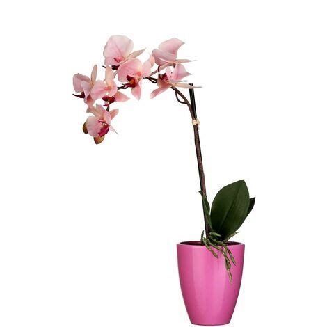 Mica Kunstpflanze Phalaenopsis Im Topf Rosa 42 X 20 Cm Kunstpflanzen