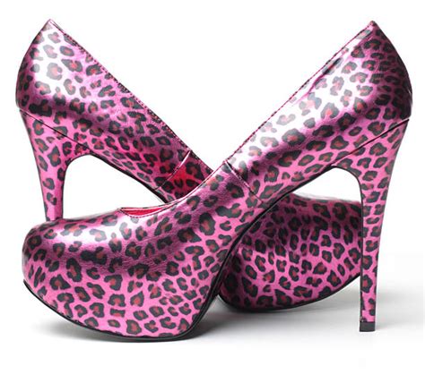 Animal Print Court Shoes Stock Photos Pictures And Royalty Free Images