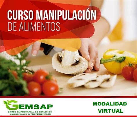 Curso de Manipulación de Alimentos Gemsap Curso Virtual