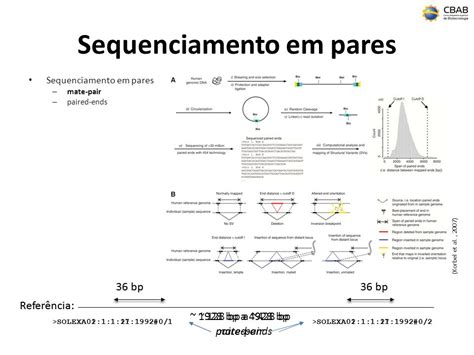 Alinhamento de Sequências de Transcritos Gênicos ppt carregar