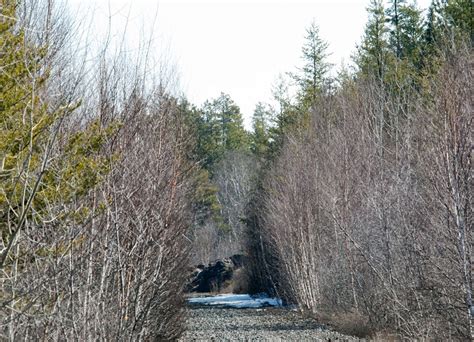 Me Boomer And The Vermilon River A Hike Along The East Track Of The