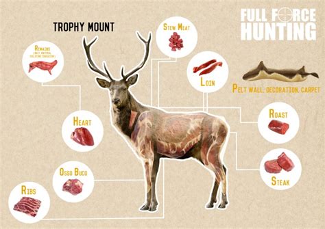 Processing Deer Meat Chart