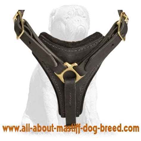 Buy Adjustable Tracking And Walking Padded Mastiff Harness