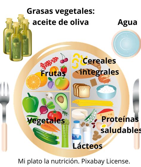 Dise Amos El Plato De Harvard H Bitos Saludables La Alimentaci N