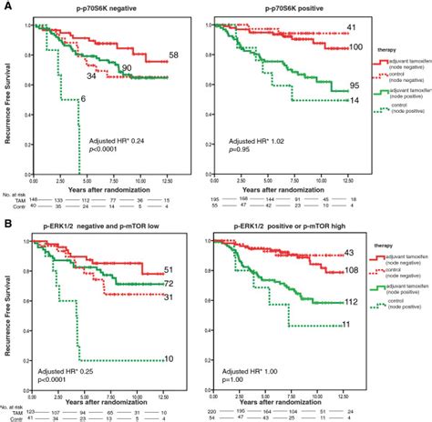 Kaplanmeier Survival Analysis According To Tamoxifen Treatment And