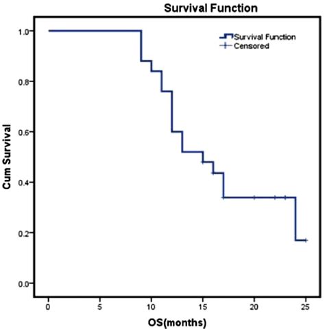 Kaplan Meier Plot Of Overall Survival Download Scientific Diagram