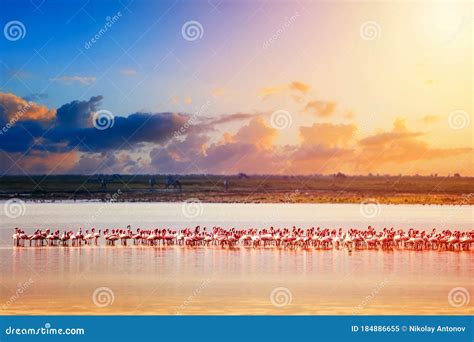 Beautiful Sunset In Kenya Amboseli National Park With Lake And