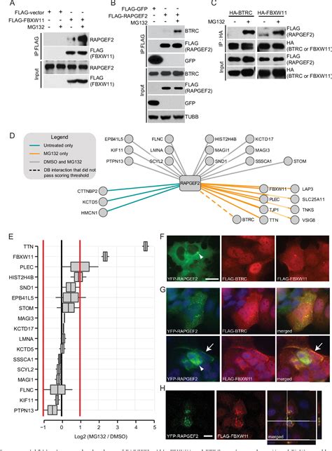 Figure 1 From Substrate Trapping Proteomics Reveals Targets Of The Cid