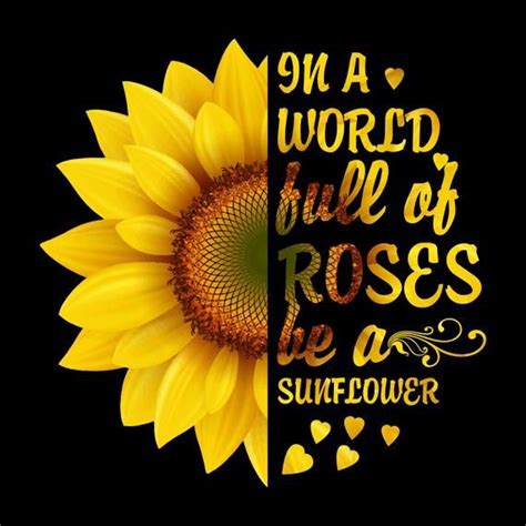 Popular In A World Full Of Roses Be A Sunflower Quote