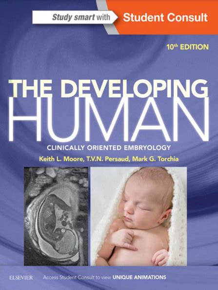 Pdf The Developing Human Clinically Oriented Embryology 10th Edition