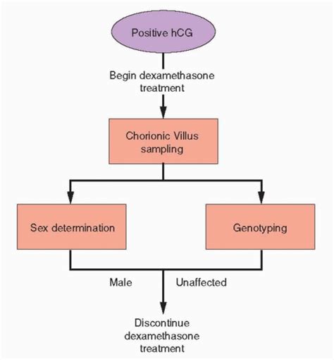 Normal And Abnormal Sexual Development Obgyn Key