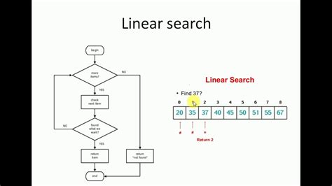 C Language Introduction And Tutorial To C Programming Searching