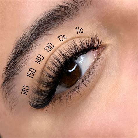 Natural Volume Lash Extension Mapping Perfect Eyelashes Lashes Fake Eyelashes Eyelash Extentions