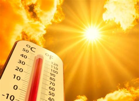 98pc chance the next five years will be the warmest on record