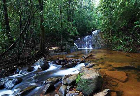 Sinharaja Forest Reserve