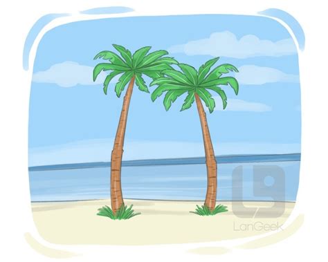 Definition & Meaning of "Tropical" | LanGeek