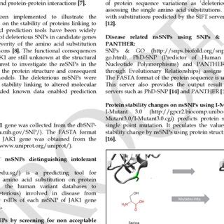 Structural Illustration Of Amino Acid Substitutions S646F In JAK1