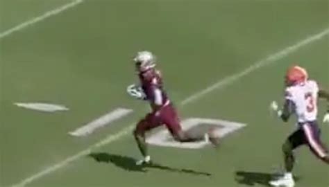 Watch Keon Coleman Extends Florida States Lead With Long Touchdown