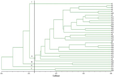 Phylogenetic Reconstruction Of 36 Pineapple Accessions Using UPGMA The