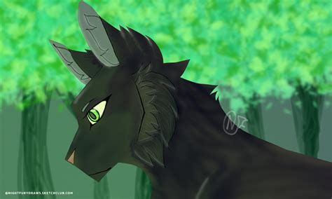 Warrior Cats Shadowstar