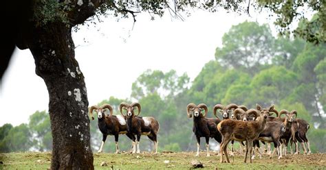 Lugares imprescindibles para visitar en la ruta de Félix Rodríguez de