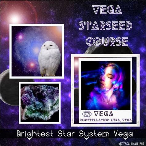 What Is a Vega Starseed?