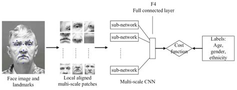 The Structure Of Yi Et Al Network Which Can Do Age