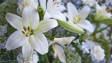 Gorgeous Bouquet Of White Lilies And Carnations Flowers Stock Image