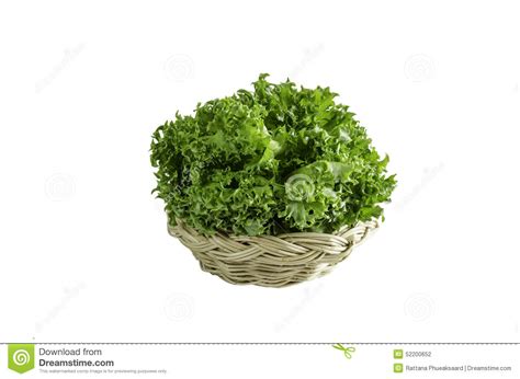 Fresh Frillice Iceberg Lettuce In Rattan Basket Stock Photo Image Of