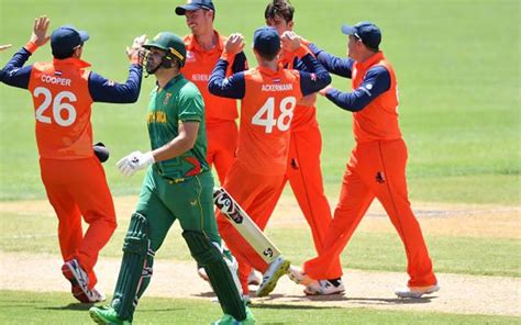 T20 World Cup 2022 Match 40 South Africa Vs Netherlands Talking Points And Who Said What