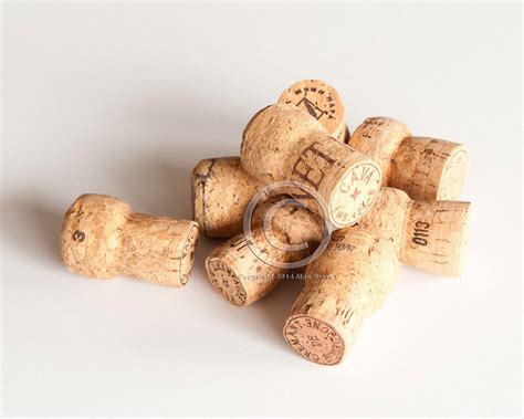 25 Used Champagne Corks Wine Corks Wine Corks Bulk Wine Etsy