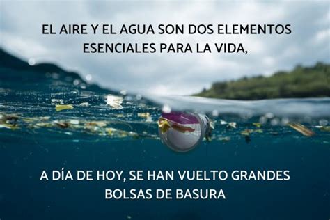 Frases De Reciclaje Las Mejores Frases Sobre Reciclaje Con Fotos