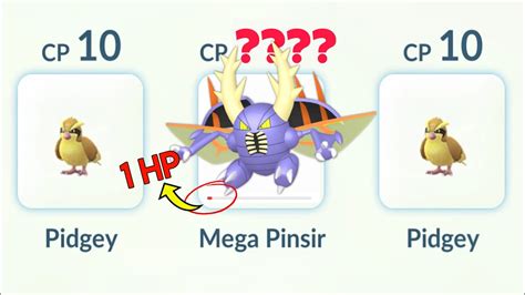 1 HP SHINY MEGA PINSIR Destroy 14000 CP SHADOW TYRANITAR Pokemon GO