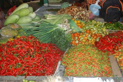 Harga Pangan Januari Cabai Rawit Merah Masih Turun Trubus