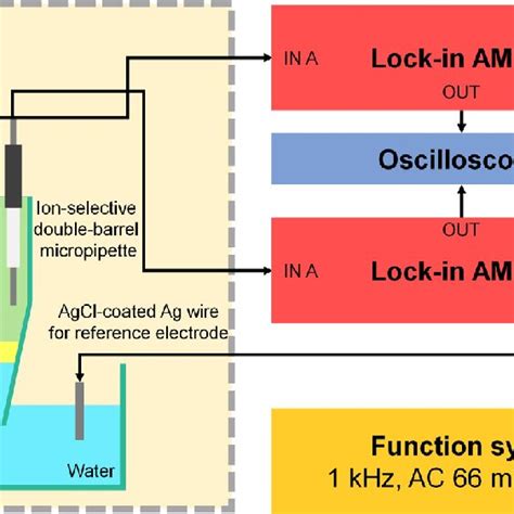 Circuit Design Of The Ion Selective Measurement Each Ion Selective