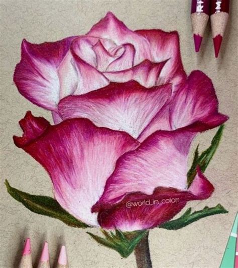 Pin By Annatal On Malarstwo Akryl Flower Sketches Flower Drawing