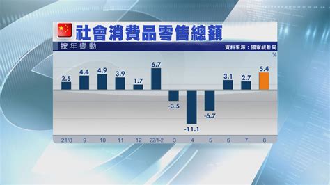 【延續恢復趨勢】內地8月零售總額升54 固投有驚喜 Now 新聞