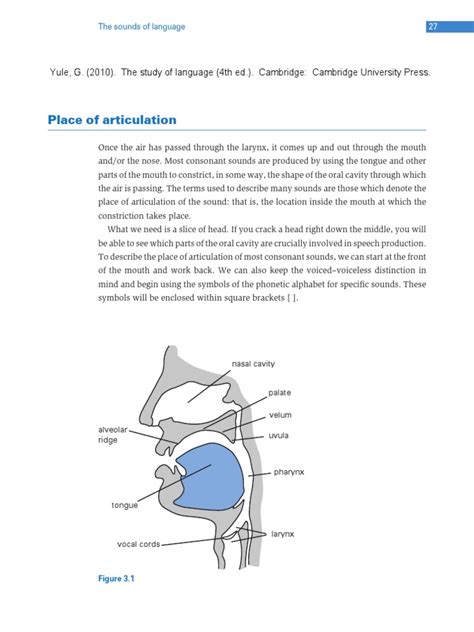 1 Place of Articulation | PDF | Phonetics | Human Voice