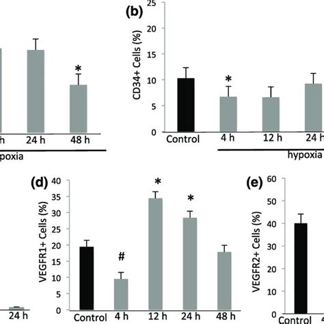 Hypoxia Modulates Cell Proliferation And Tube Formation Hypoxia