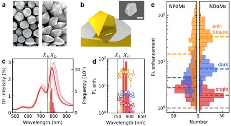 Consistent Enhancement With Nano Decahedral Cavities A SEM Image Of