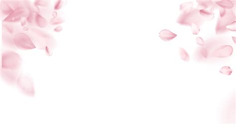 1 Result Images Of Falling Cherry Blossoms Png Png Image Collection