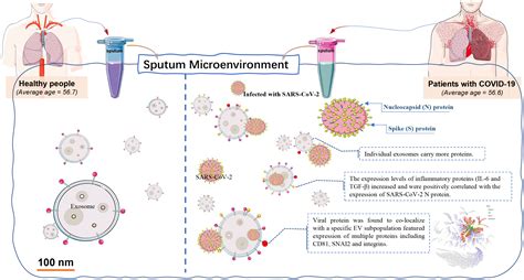 Proteomic Profiling Of Single Extracellular Vesicles Reveals