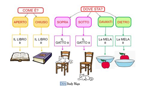 Sopra Sotto Aperto Chiuso DSA Study Maps Junior