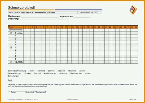 Berraschen Schmerztagebuch Vorlage Muster Vorlagen
