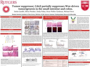 Gandhi Sneha Tumor Suppressor Cdx Partially Suppresses Wnt Driven