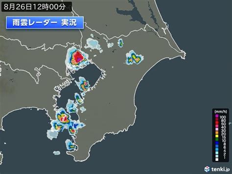 関東の一部で雨雲や雷雲が発達 東京都心から雨柱も 今夜にかけて急な雷雨に注意気象予報士 日直主任 2023年08月26日 日本気象協会