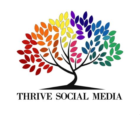 Manage Your Business Social Media Accounts By Thrivesocials Fiverr