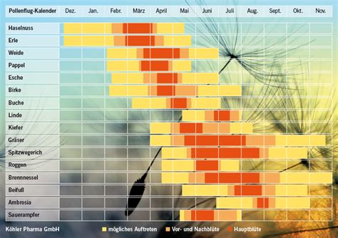 Pollenflugkalender Heuschnupfen Und Allergien