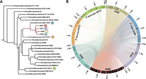 Igenbio Expands Its Services In Metagenomic Analysis Biobanking